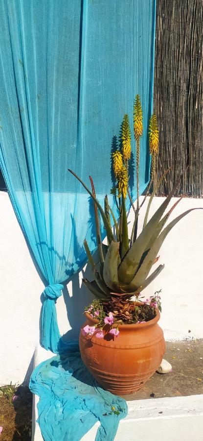 Amaryllis Sweet Home Pírgos Dış mekan fotoğraf