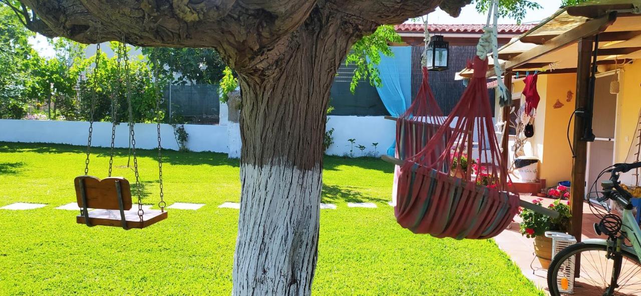 Amaryllis Sweet Home Pírgos Dış mekan fotoğraf
